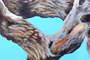 Acrylic On Canvas 24x48" 